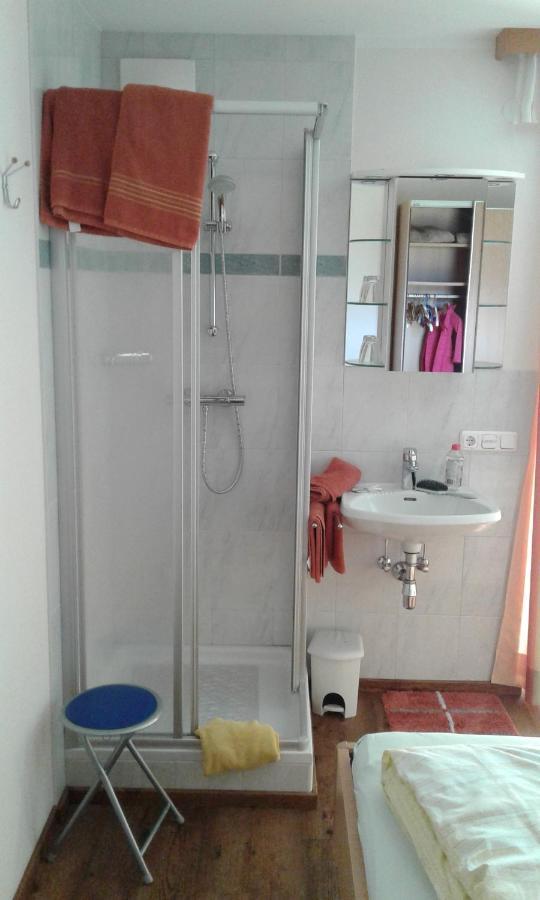 Appartment Steger Klara Mittersill Extérieur photo